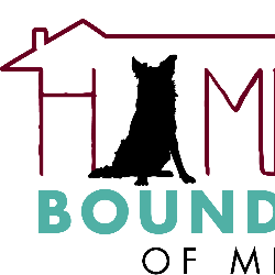 shelter logo