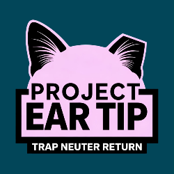 shelter logo