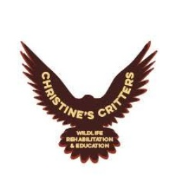 shelter logo