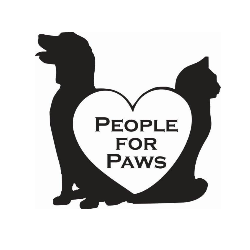 shelter logo