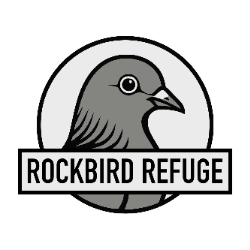shelter logo