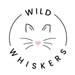 shelter logo