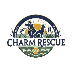 shelter logo