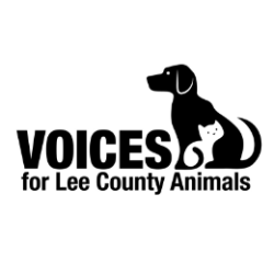 shelter logo