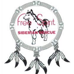 shelter logo