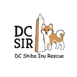 shelter logo