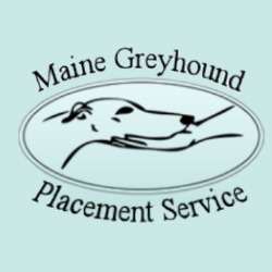 shelter logo