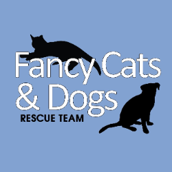 Fancy Cats & Dogs Rescue Team