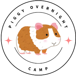 shelter logo
