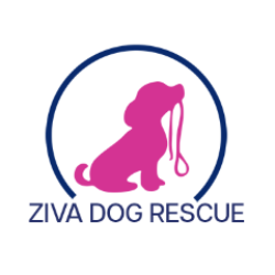 shelter logo