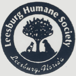 shelter logo