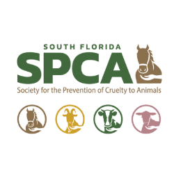 shelter logo