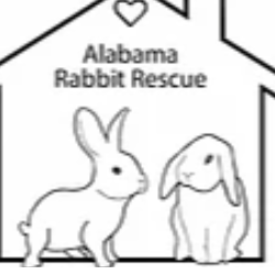 Alabama Rabbit Rescue