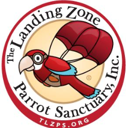 shelter logo