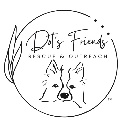 shelter logo