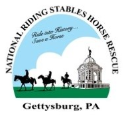 shelter logo