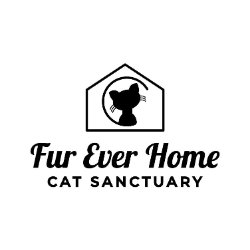shelter logo