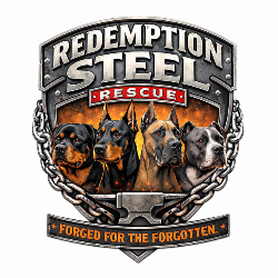 shelter logo