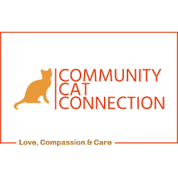 shelter logo