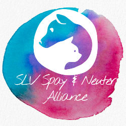 shelter logo