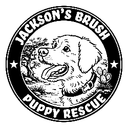 shelter logo