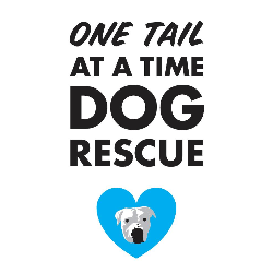 shelter logo