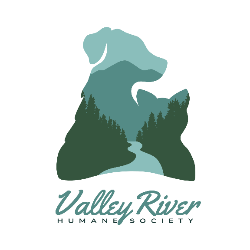 shelter logo