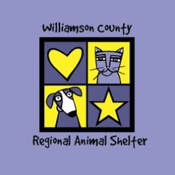shelter logo
