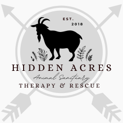 shelter logo