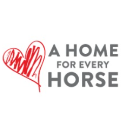 A Home for Every Horse, Equine Network Foundation
