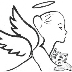 Kitty Angel Rescue