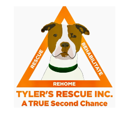 shelter logo