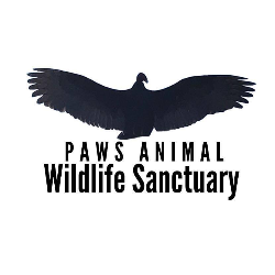shelter logo