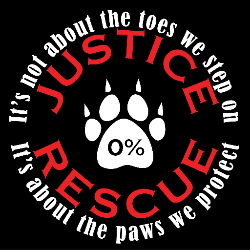 shelter logo