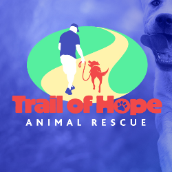 shelter logo