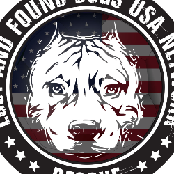 shelter logo