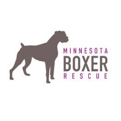 shelter logo