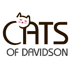 shelter logo