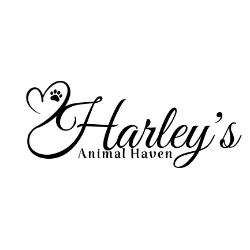 shelter logo