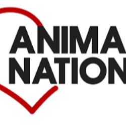 shelter logo