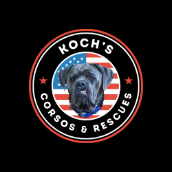 shelter logo