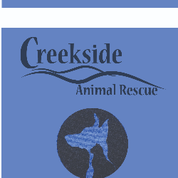 shelter logo