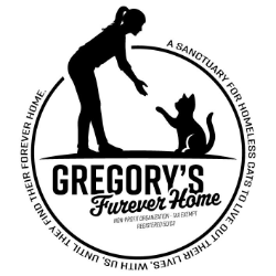 shelter logo