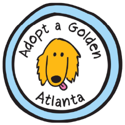 shelter logo