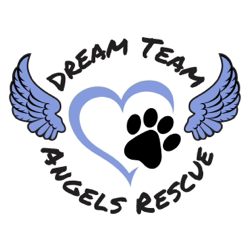 Dream Team Angels Rescue