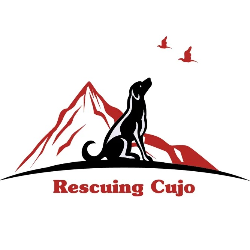 shelter logo