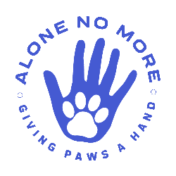 shelter logo