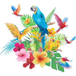 Avians of Hope Inc
