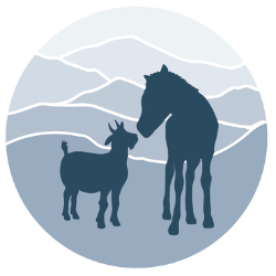 shelter logo