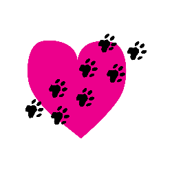 shelter logo